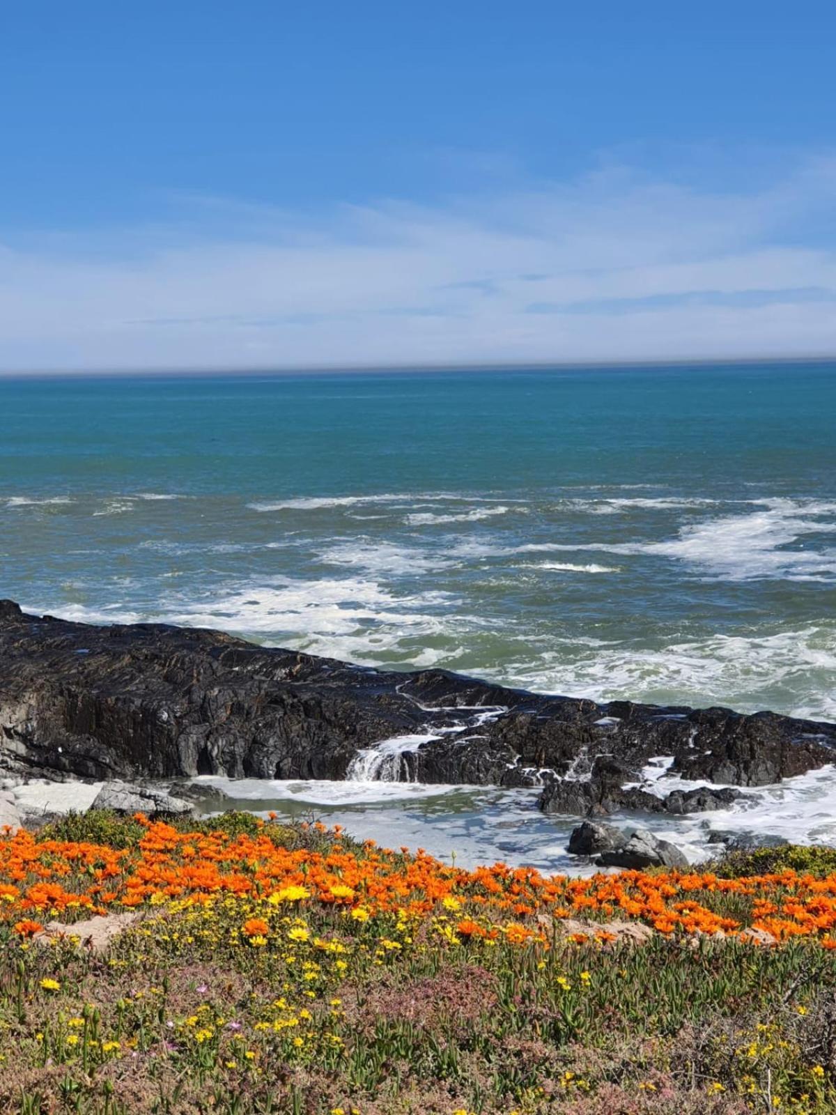 West Coast Seaside Getaway Grotto Bay Exterior foto
